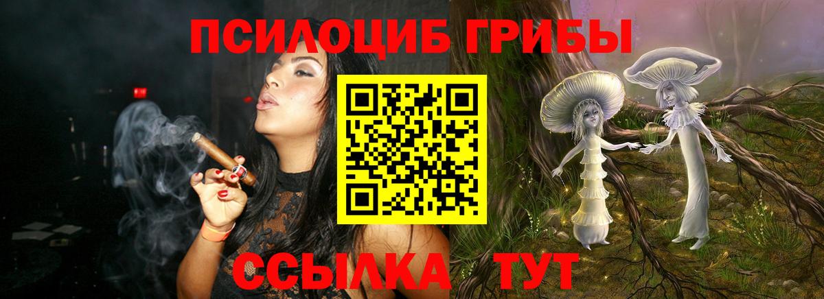 Псилоцибиновые грибы мицелий  Вход с VPN  Печора 